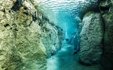 featureimage.scubadivingmagazine.august.jpg.webp