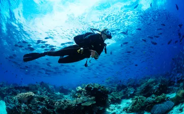 female-diver-tropical-jukkis.jpg.webp