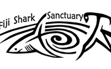 fiji-shark-sanctuary.gif.webp