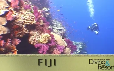 fiji_wbdr_vid.jpg.webp
