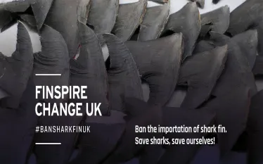 finspire-change-uk-web.jpg.webp