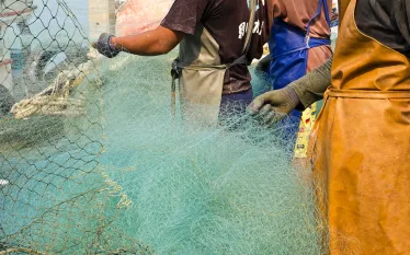 fishermen-dragging-trawling-nets-shutterstock-markuso.jpg.webp