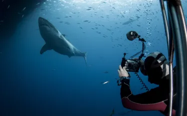 five-tips-underwater-photography-shutterstock_.jpg.webp