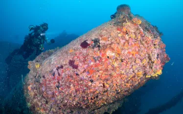 fl_keys_eagle_wreck_article_images_x_image.png.webp