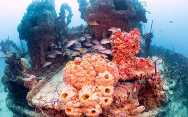 fl_keys_spiegel_grove_article_images_x.png.webp