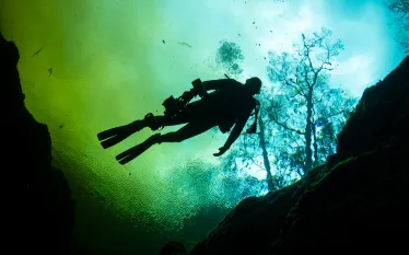 florida-ginnie-springs-silhouette-diver-in-tannic-susan-meldonian.jpg.webp