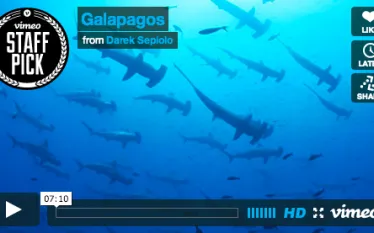 galapagosthumb.jpg.webp
