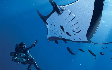 giant-manta.jpg.webp