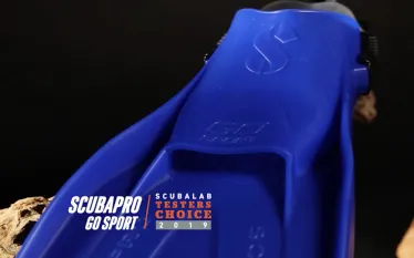 go-sport-fins.jpg.webp