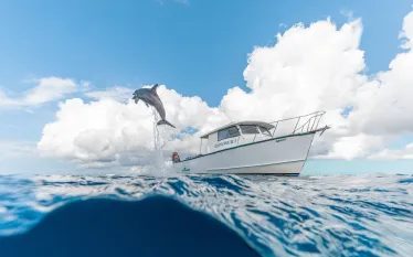 grand_bahama_article_images_x_image.png.webp