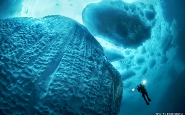 greenland_icebergs.jpg.webp