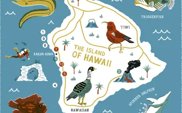 hawaii-scuba-magazine.jpg.webp