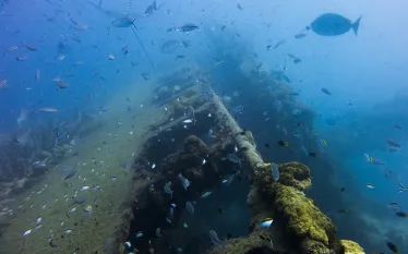 history-of-yongala-shipwreck-australia.jpg.webp