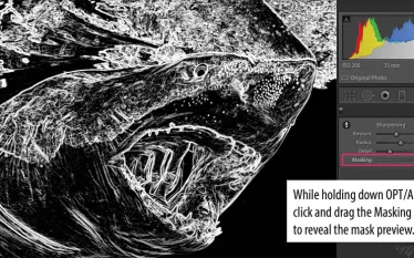 imaging_masking-.jpg.webp