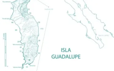 isle_guadalupe.jpg.webp