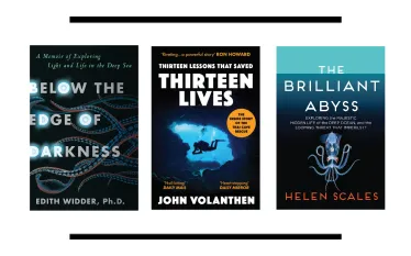 july--bookshelf-teaser.png.webp