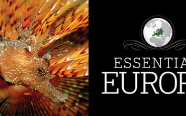 july-esstential-europe-feature.jpg.webp