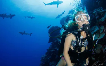 kids-sea-camp-scuba-diving-yap-shark.jpg.webp