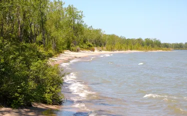 lake-erie-shore-shutterstock-jeffrey-m.-frank.jpg.webp