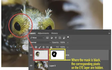layer_mask_ma.jpg.webp