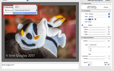 lightroom_tutorial_erin_quigley_watermarking_scd.jpg.webp