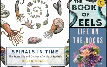 marine-science-books-teaser.png.webp