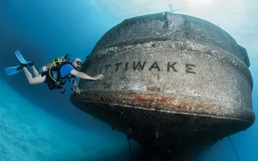 may-wil-dive-the-ship-you-served-teaser.jpg.webp