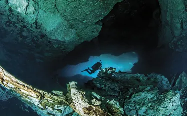 maya-riveria-cenote-mexico-shutterstock-michael-bogner.jpg.webp