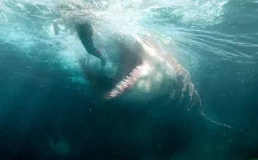 meg-fp--h_.jpg.webp