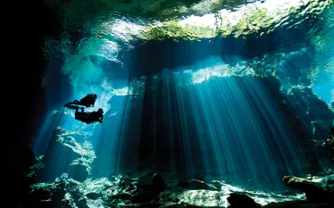 mexico-diving-brandon-cole.jpg.webp