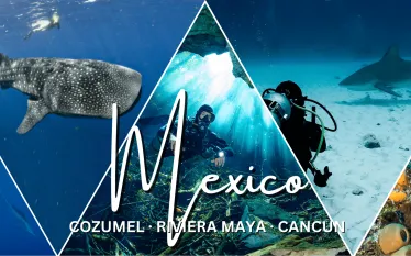 mexico.png.webp