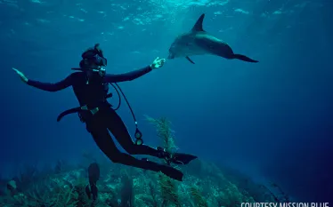 missionbluewm.jpg.webp