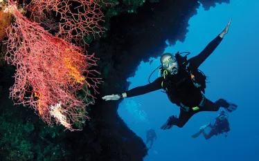 narcosis-image.jpg.webp