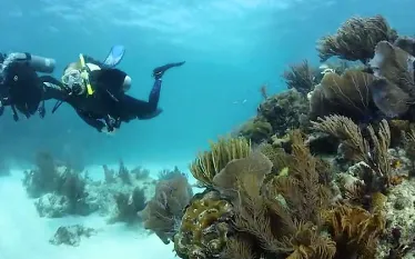 naui_certified_diver_video_teaser.jpg.webp