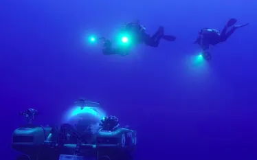 nekton-gue.jpg.webp