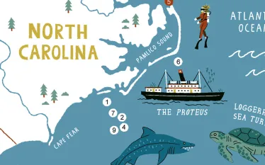 north-carolina-perfect--preview.jpg.webp