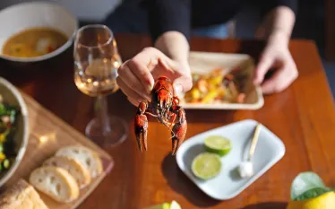 nuisance.tablecrab.scubadivingmag.june.jpg.webp