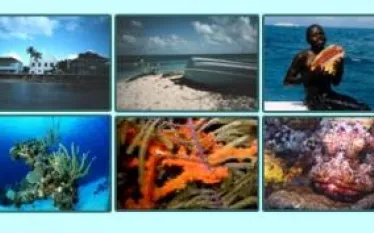 oasis_divers_picture.jpg.webp