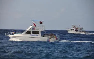 ocean_encounters_boat_.jpg.webp
