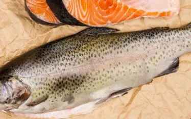 oceana_salmon_blog_shutterstock.jpg.webp