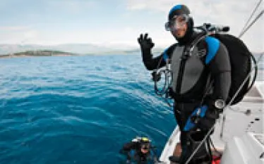 oceanquits_thumb_.jpg.webp
