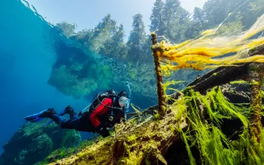 oregon.mossywreck.brandoncole.scubadivingmagazine.jpg.webp