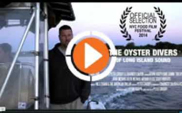 oysterdivers_thumb.jpg.webp