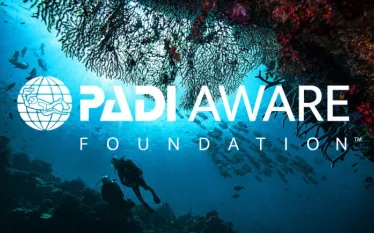 padi-aware-foundation.jpeg.webp