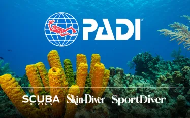 padi-bonnier-magazines-pr-image_.jpg.webp