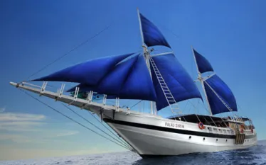 palau-siren.jpg.webp