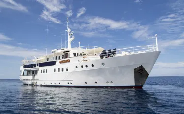 pelagian-dive-yacht-walt-stearns.jpg.webp