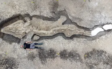 person-with-fossil-outline.jpeg.webp