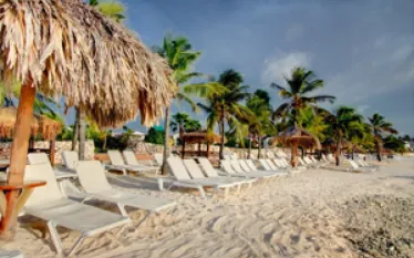plaza_new_image-_x_.jpg.webp
