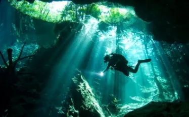 pro-dive-mexico--.jpg.webp
